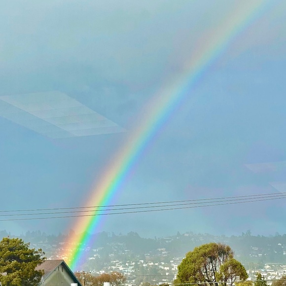 Meet your Posher, Maya - Picture 1 of 1